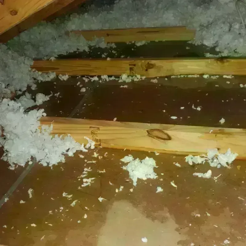 Attic Water Damage in Spencer, IA