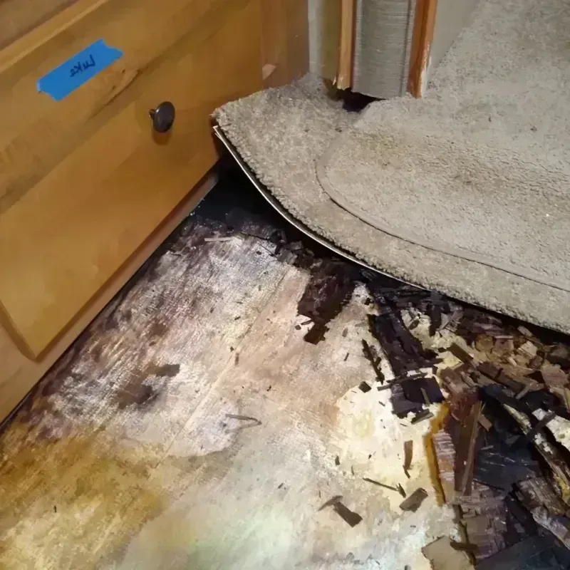 Wood Floor Water Damage in Spencer, IA